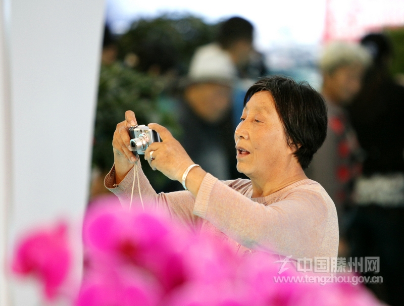 第五届山东省花卉博览会展览馆内，一位市民正在拍摄花卉