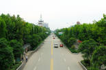 林荫道路--学院路.jpg