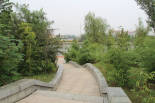 荆河休闲长廊.jpg