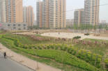 裸露土地整治照片 084.jpg