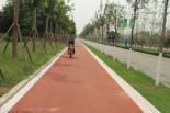 龙泉路绿道.jpg