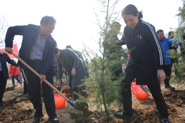 滕州团市委书记程俊雅和林业局局长俞涛植树